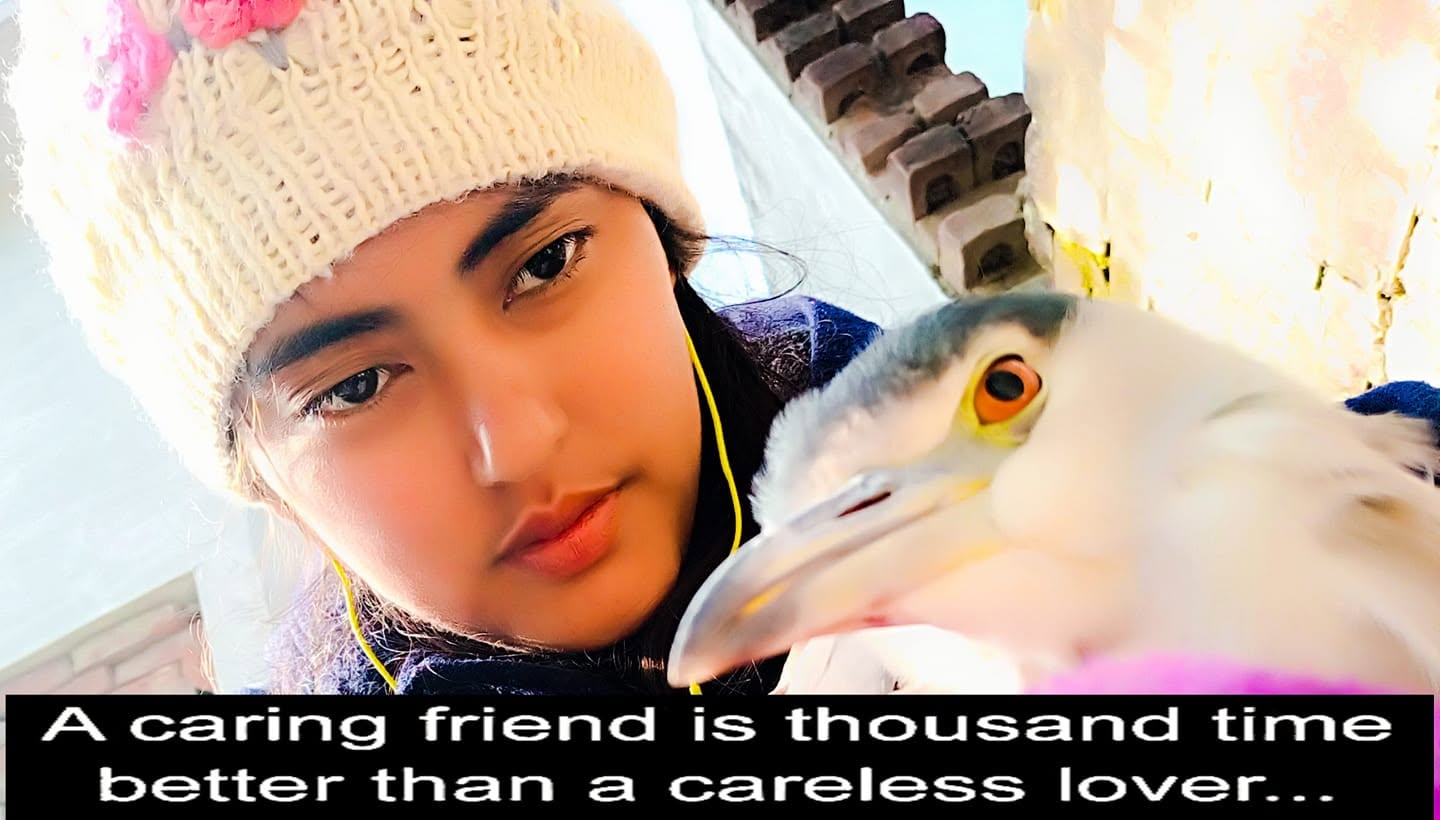 Friend and Lover